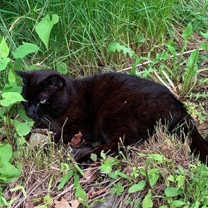 Meet your Posher, Elias